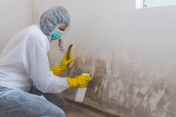 Best Crawl Space Mold Removal  in Vander, NC