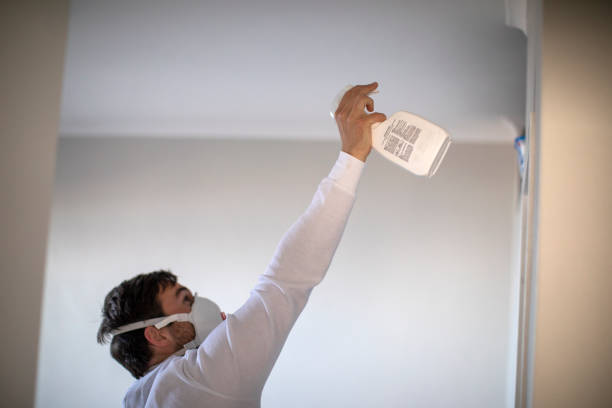 Certified Mold Removal in Vander, NC