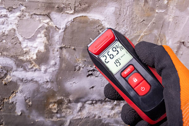Best Office Mold Removal Services  in Vander, NC