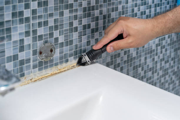 Professional Mold Removal in Vander, NC