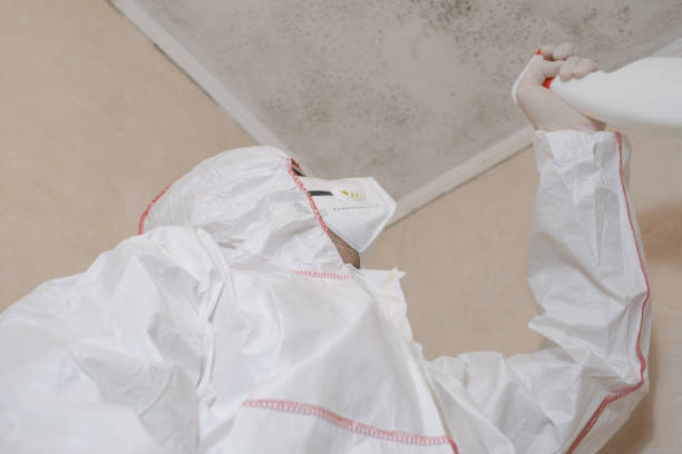 Best Mold Testing  in Vander, NC