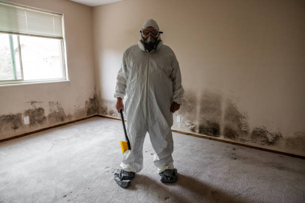 Best Certified Mold Removal  in Vander, NC