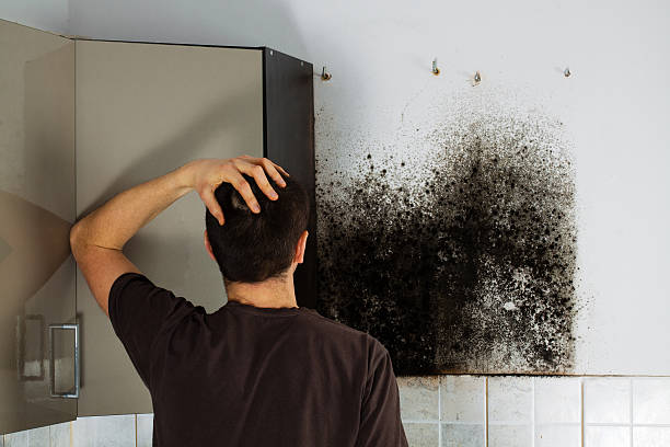Best Crawl Space Mold Removal  in Vander, NC