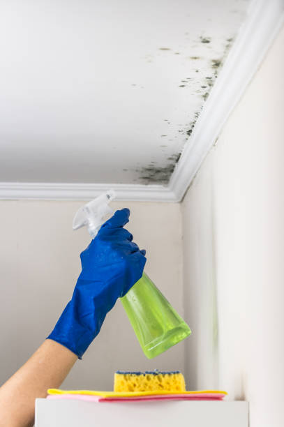 Best Mold Testing  in Vander, NC